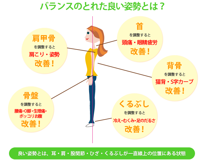 バランスのとれた良い姿勢とは、耳・肩・股関節・ひざ・くるぶしが一直線上にある状態のことをいいます。