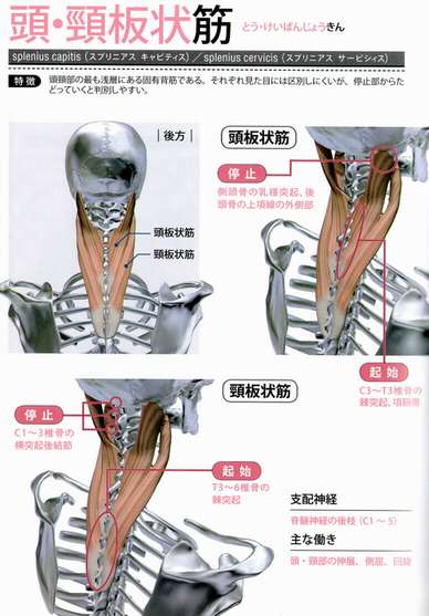 blog103101